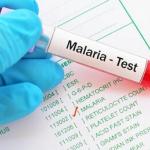 malarial parasite test
